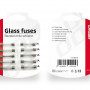 Glaszekeringen 10 stuks