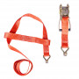 Transportband met spanner en beugel 5T 5000kg 50mm 3m AMIO-03317