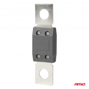Auto MEGAVAL zekeringen 300A AMIO-03470