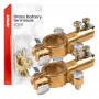 Messing accupolen 800AMP, 2 stuks. AMIO-04390