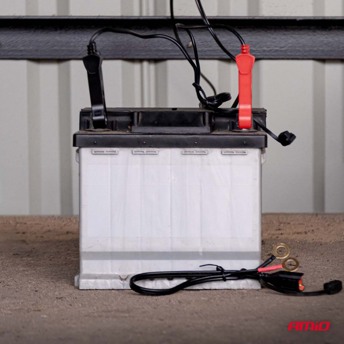 Digitale acculader AGM GEL STD LiFePo4 MAX 8A 12/24V PRO HOOK