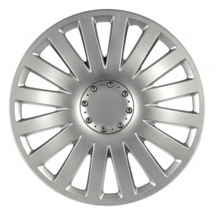 Hubcap Smart 13