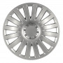 Hubcap Smart 15