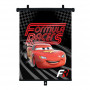 Rolparasol 1 stuks 36x45cm CARS